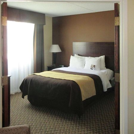 Comfort Inn & Suites Montrose Hill Eksteriør billede
