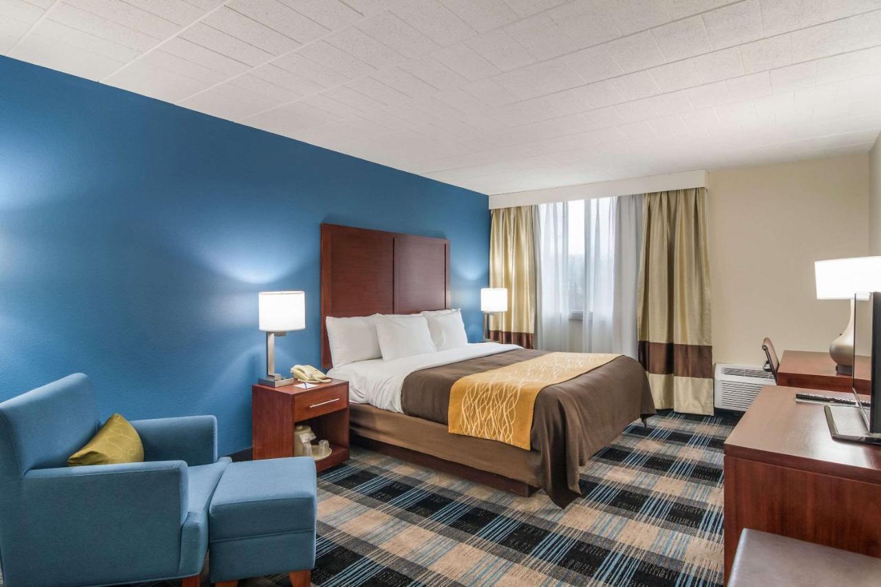 Comfort Inn & Suites Montrose Hill Eksteriør billede