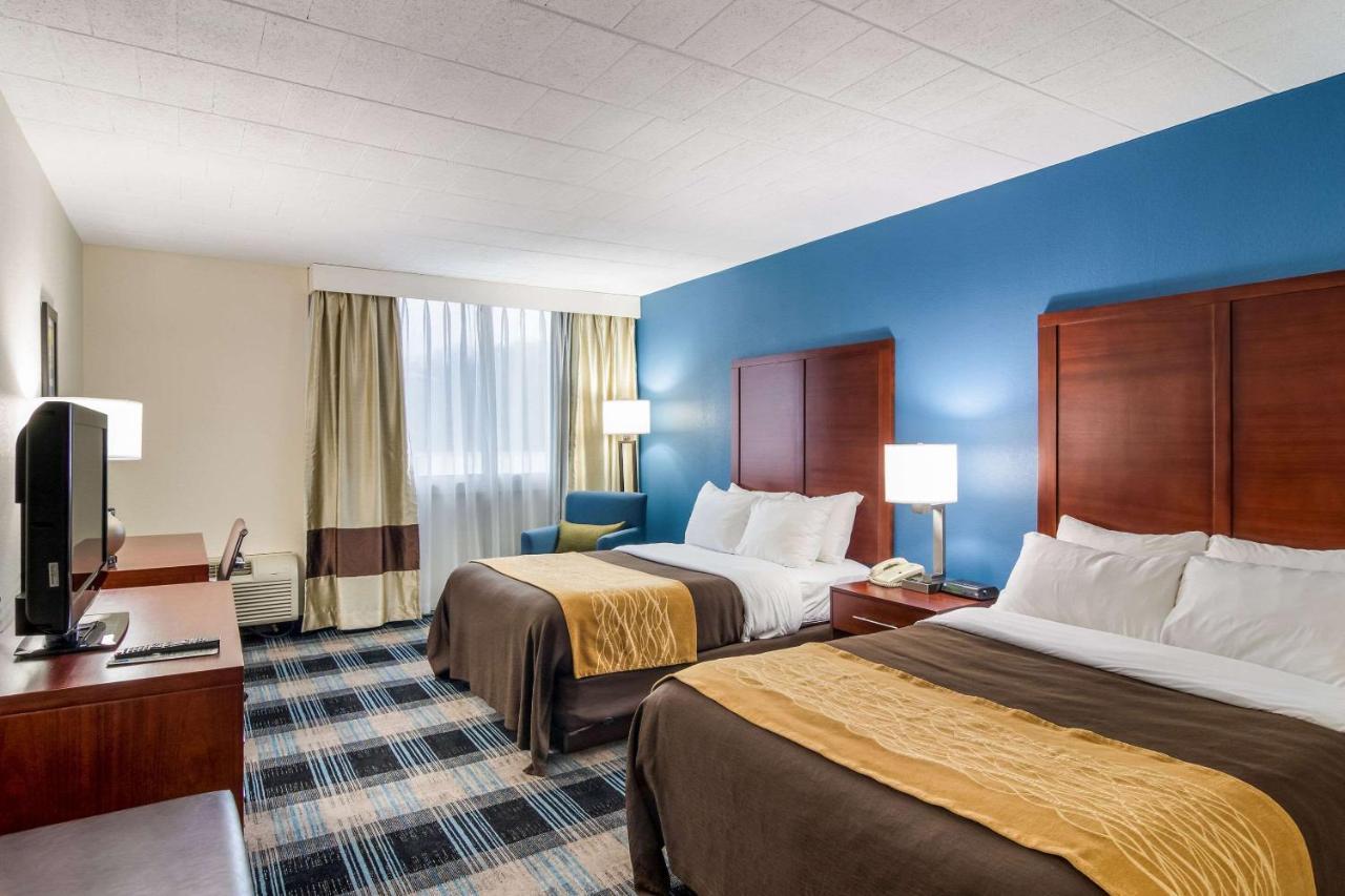Comfort Inn & Suites Montrose Hill Eksteriør billede