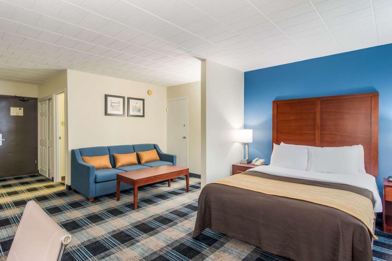 Comfort Inn & Suites Montrose Hill Eksteriør billede
