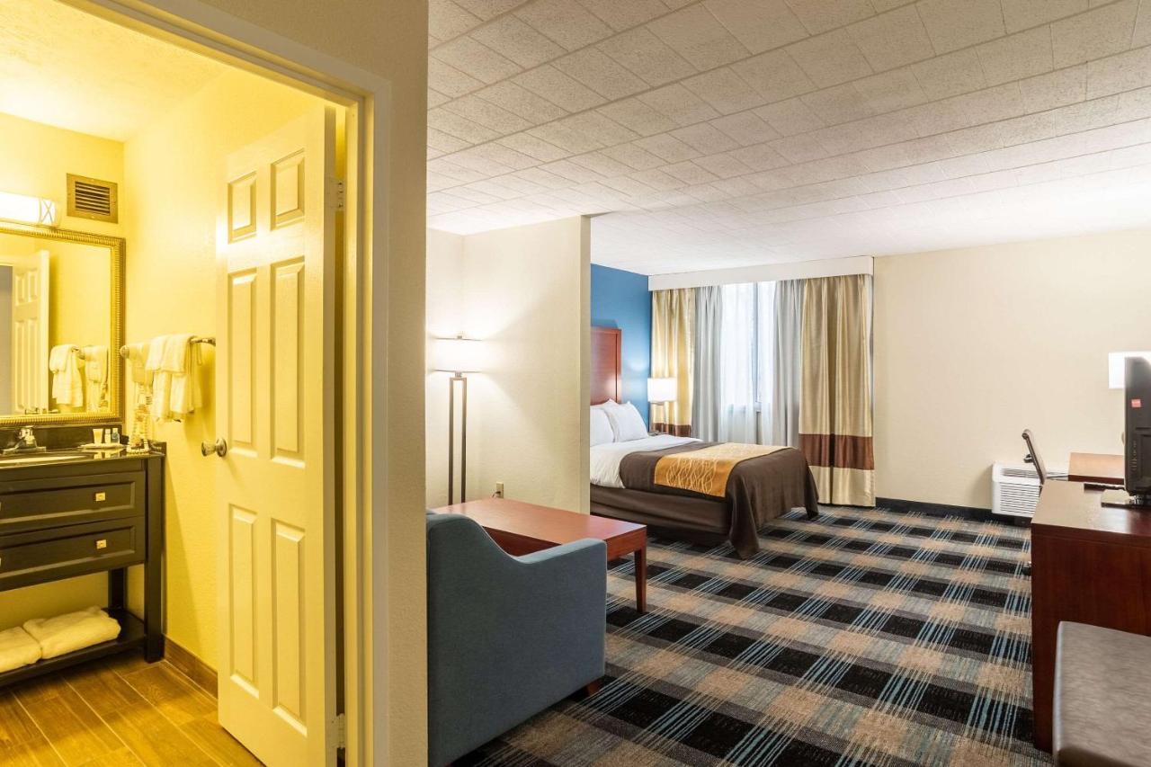 Comfort Inn & Suites Montrose Hill Eksteriør billede