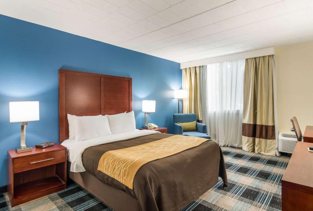 Comfort Inn & Suites Montrose Hill Eksteriør billede
