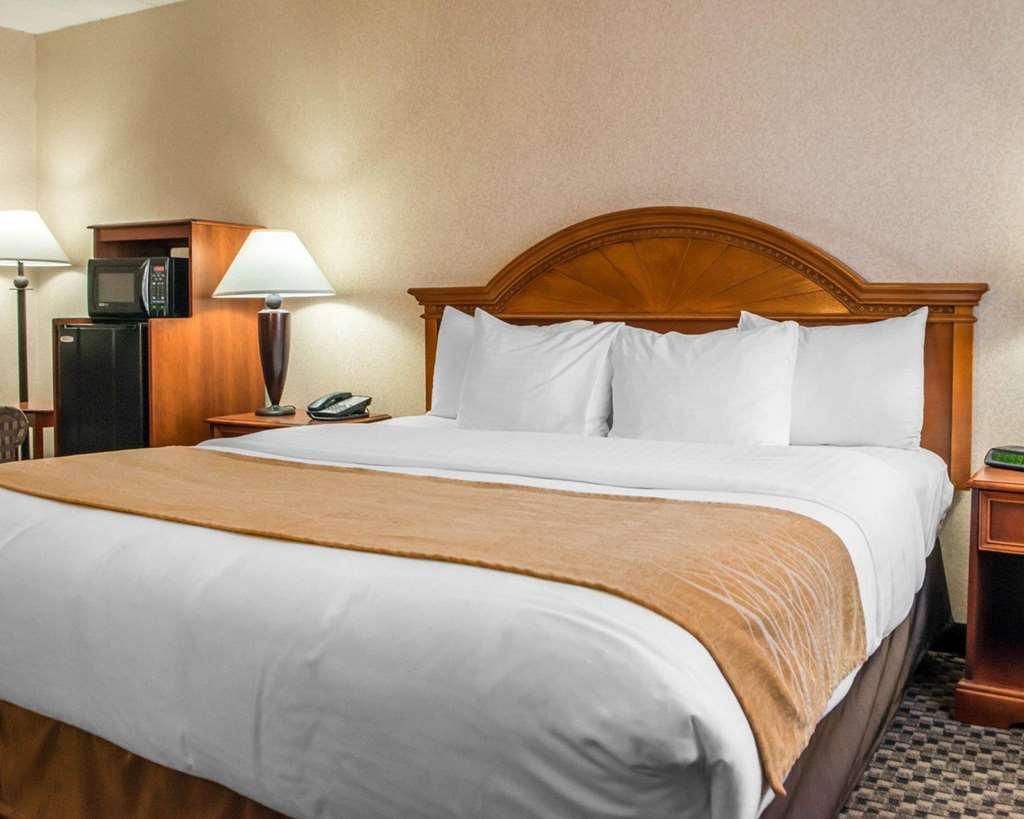 Comfort Inn & Suites Montrose Hill Værelse billede