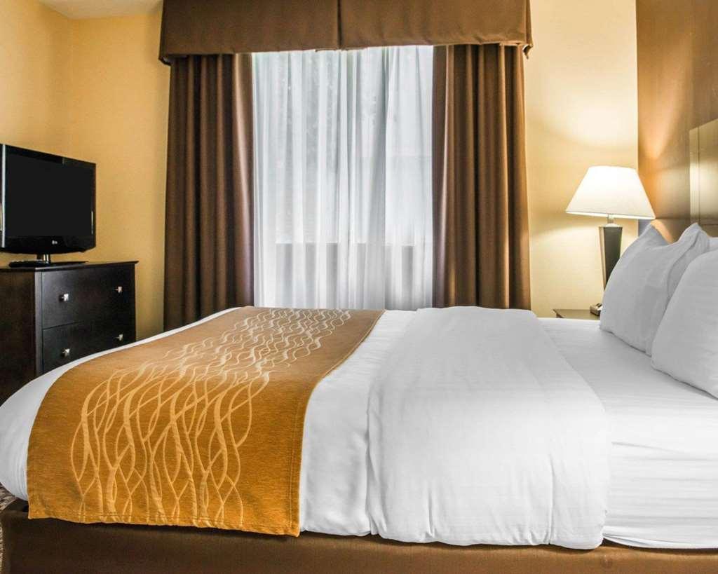Comfort Inn & Suites Montrose Hill Værelse billede