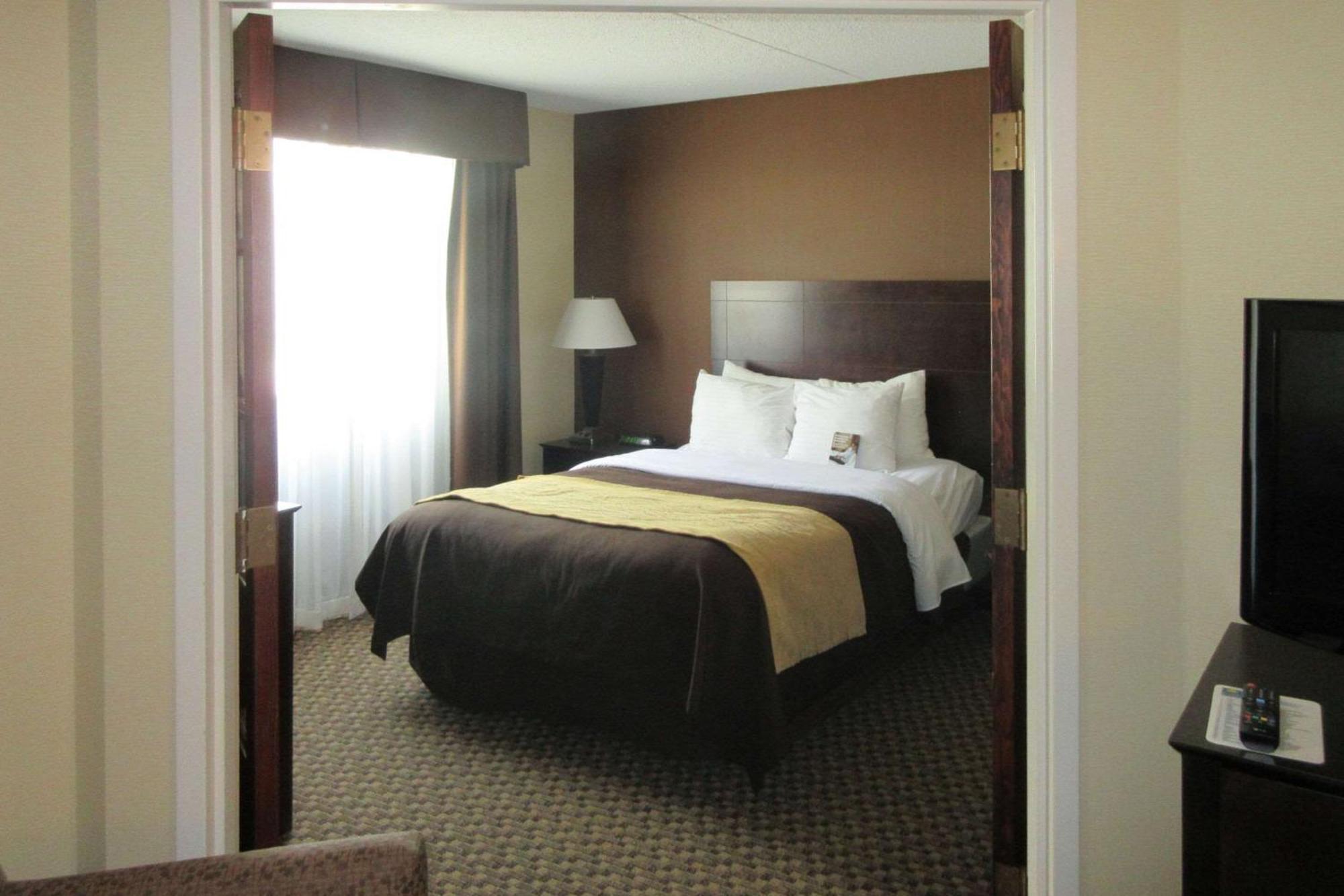 Comfort Inn & Suites Montrose Hill Eksteriør billede